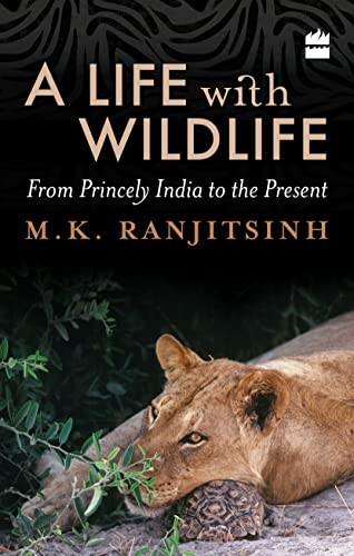 Life In Wildlife - Image 6