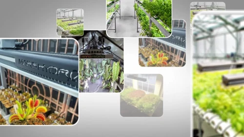 Mars Hydro Indoor Grow Tent Hydroponic 100% Reflective Mylar Room Box Waterproof - Video 1 of 1