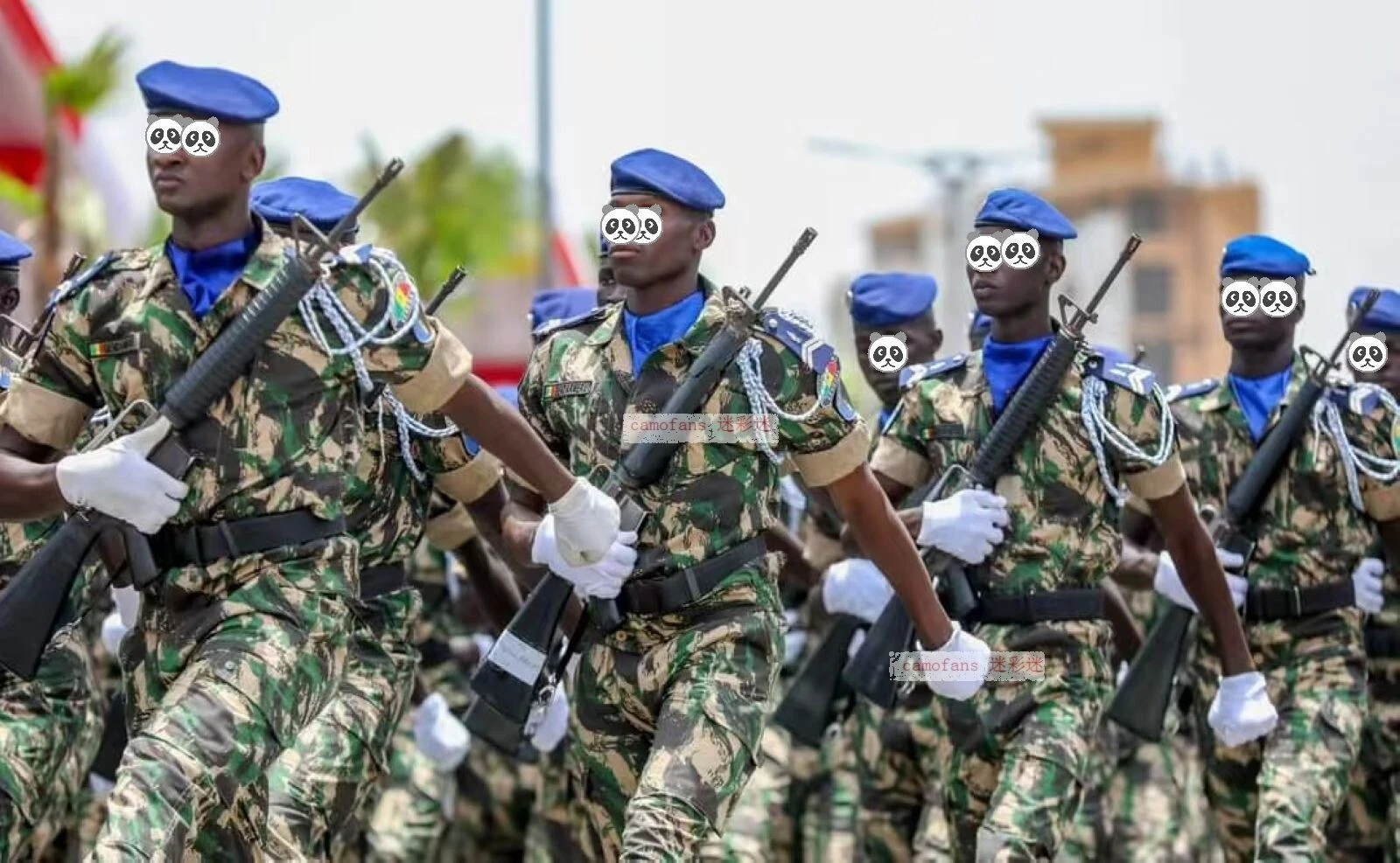 Senegal Army Gendarmerie Nationale French lizard variation Camouflage Uniforms - 第 2 张/共 9 张
