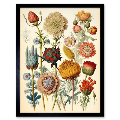 Vintage Botanical Haeckel Inspired Plant Study Framed Art Picture Print 12x16