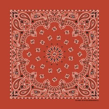 Carolina Creative Bandanna Terracotta Paisley Print 22" x 22" Hav-A-Hank