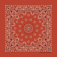 Carolina Creative Bandanna (Terracotta) Paisley Print 22" x 22" Hav-A-Hank