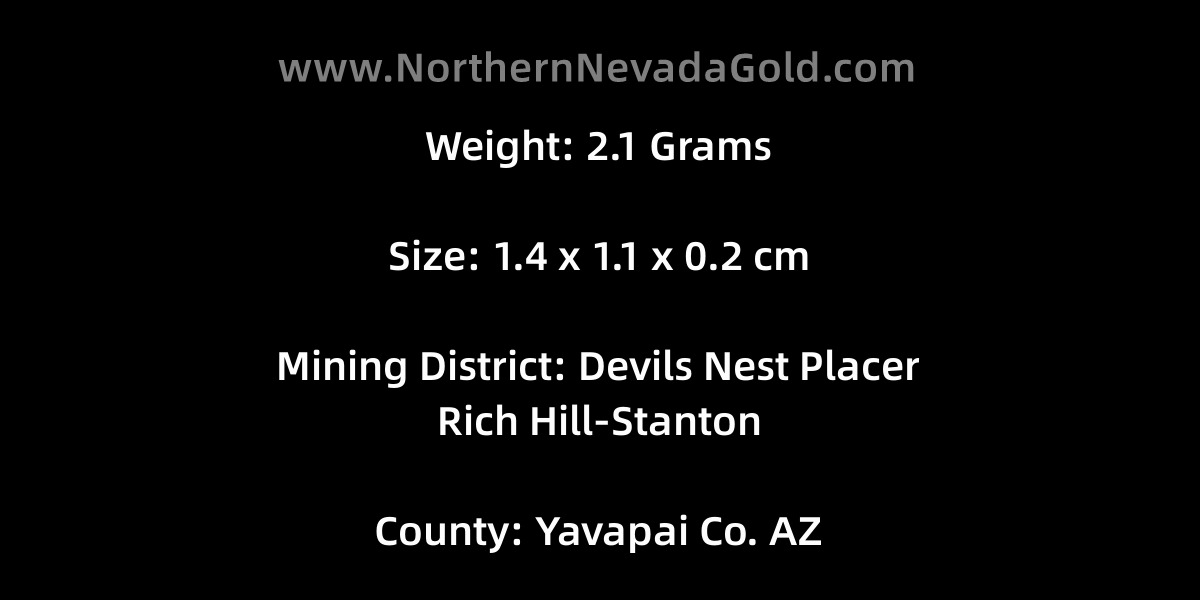 Gold Nugget 2.1 Grams  Devils Nest Placer  Yavapai Co. AZ