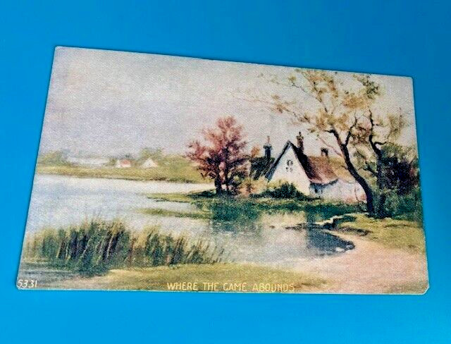 Beautiful,  VINTAGE EARLY 1900'S Postcard-House on River - NEVER USED!