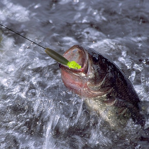 5 pièces leurre de pêche souple appâts de pêche pour perche Croaker pêche à la t - Photo 6/21