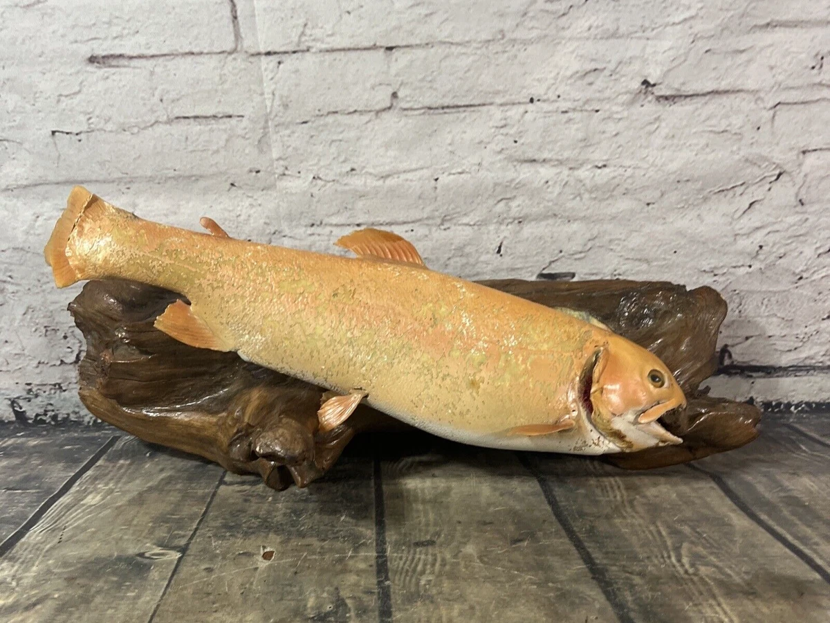 Palomino trout sale