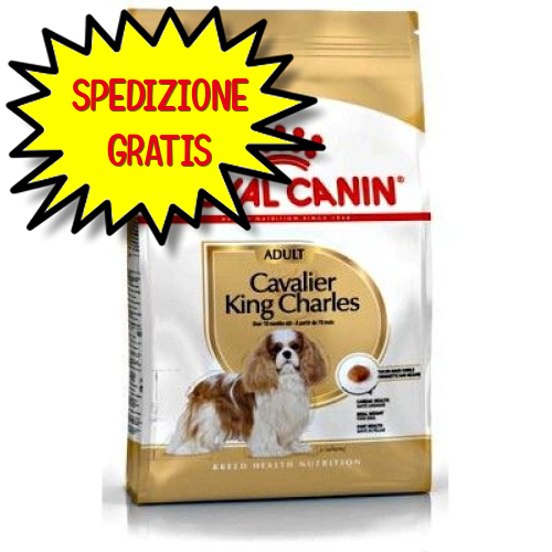 ROYAL CANIN CANE CAVALIER KING 1,5 KG