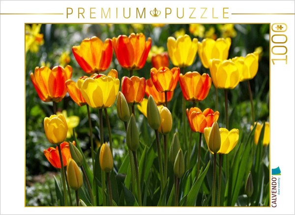 "Calvendo Puzzle An Image From The \"Enchanting Spring Blooms\" Calendar | 1000 Pie"-image