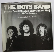 THE BOYS BAND PLEASE DON'T STOP ME BABY 45 7" RECORD & PICTURE SLEEVE