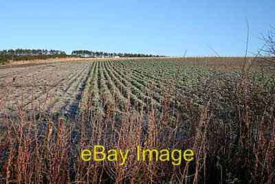 Foto 6x4 Felder bei Aulthash Auchinderran\/NJ4055 Ich bin unsicher genau was c2009