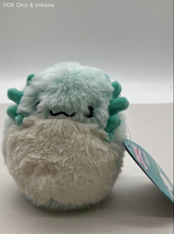 Squishmallows Fuzz-A-Mallows Flannery Bearded Dragon 5 Inch Plush NWT