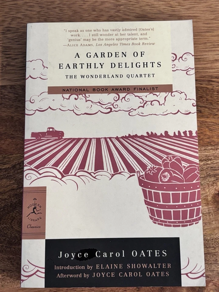 Complete Set Series Lot of 4 Wonderland Quartet books by Joyce Carol Oates VG - Image 3 of 4