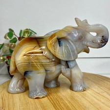 Piedra de ágata natural tallada de 3 lb especímenes minerales de elefante restaurar energía