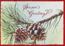 Two Pine Cones on Branch Season's Greetings Box of 18 Christmas Cards