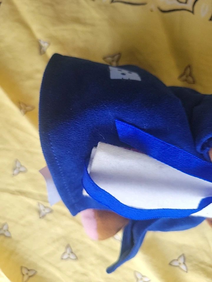 Disney Store Winnie the Pooh Graduación Roo Bean Bolsa Peluche 6" Nuevo Foto 4 de 4