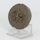 Unique & Rare Septarian Barite Geode from France Baryte Stone 66mm 166g H0844 — photo 4