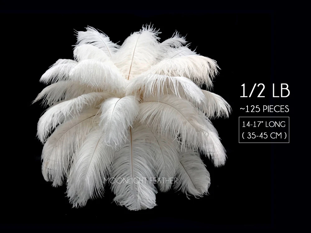 1/2 lb. - 14-17 Off White Ostrich Large Body Drab Wholesale Feathers Wall  Craft