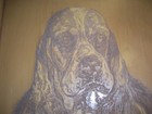 Bild 5 von 10