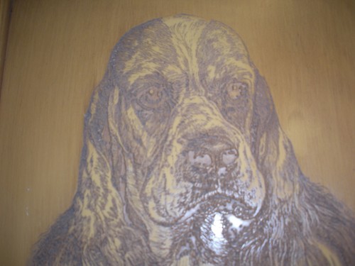 VINTAGE PO 9 3/4" X 12 1/4" HANDGESCHNITZT HART BILD VON COCKER SPANIEL GESICHT - Bild 5 von 10