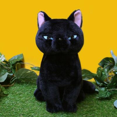 【ACME FURNITURE】花井氏STUFFED CAT with BOX ACME FURNITURE】花井氏STUFFED CAT with BOX ACME FURNITURE】花井氏