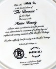 NATIVE AMERICAN INDIAN THE PROMISE & PRAIRIE FLOWER 2 COLLECTOR PLATES — photo 4