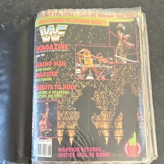 WWF Wrestling Magazines Collection 1991 1994 Books Publications 1990s Lot 23