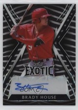 2023 Leaf Exotic Zebra Kaleidoscope 7/7 Brady House #BA-BH1 Auto 2d9