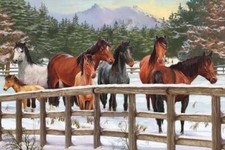 Cobble Hill Snowy Pasture 35 Piece Jigsaw Puzzle