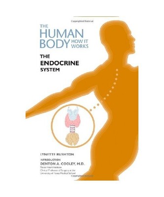 The Endocrine System, Lynette Rushton