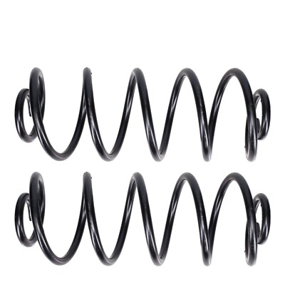 Set 2 Hintere Schraubfedern für 1972 1973 Oldsmobile Delta 88 & Royale NEU Paar