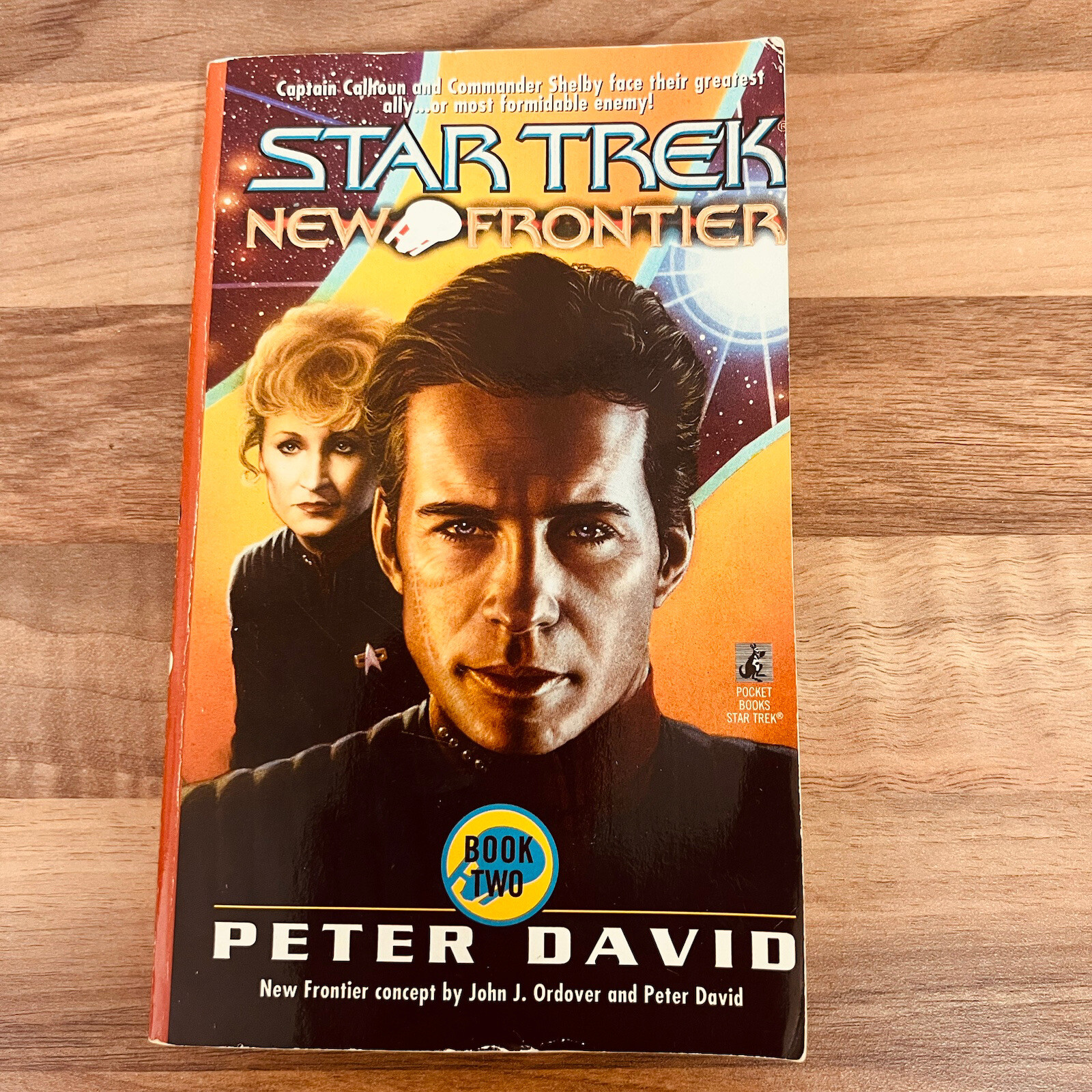 Star Trek: New Frontier - Book 2 by Peter David Paperback Book 1997 VGC