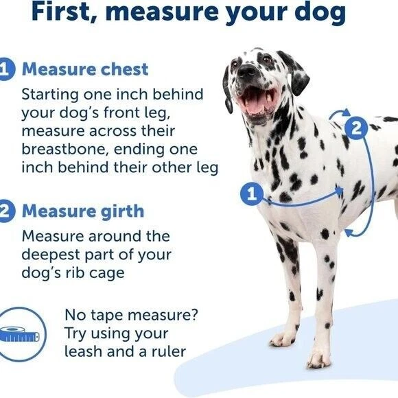 PetSafe Easy Walk No-Pull Dog Harness The Ultimate Harness to Help Stop Pulling - Image 3 of 4