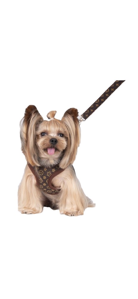dog harness dog harness