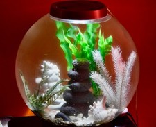 biOrb Classic 30L Aquarium with MCR LED Lighting, decorations and pump.