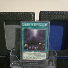 Domäne der wahren Monarchen SR01-DE024 Common YuGiOh 