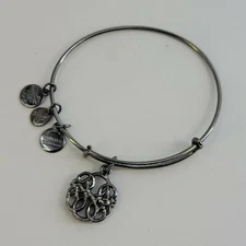 Alex And Ani Midnight Silver Path Of Life IV Bracelet Expandable