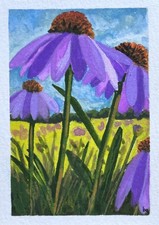  on The Hot Collector