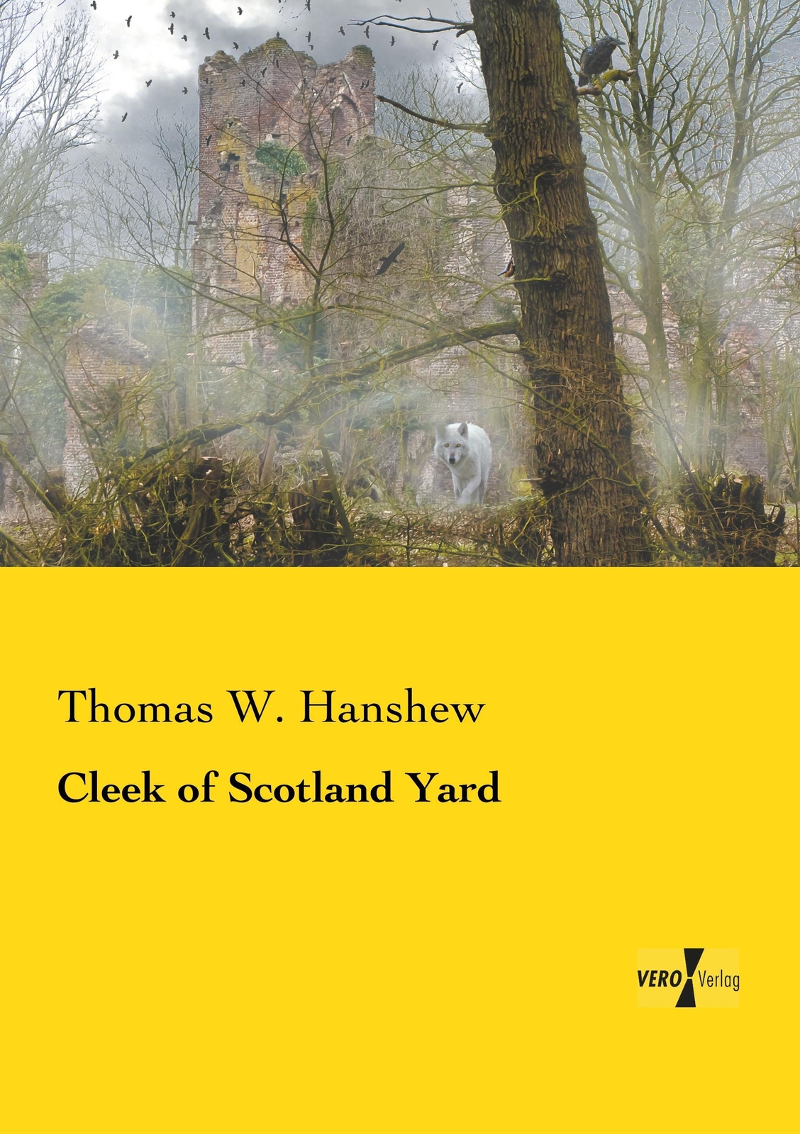Thumbnail - Thomas W. Hanshew | Cleek Of Scotland Yard | Taschenbuch | Englisch