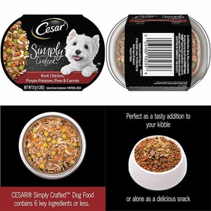 cesar simply crafted