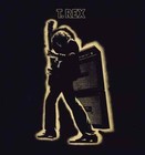 T Rex - Electric Warrior Music Album Cover Poster Print 12 x 12