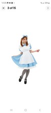 Alice in Wonderland Costume Waitress Uniform Maid Blue Dress Halloween Cosplay