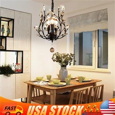 Elegant Black Crystal Chandelier Modern Ceiling Light Pendant Lighting Fixture