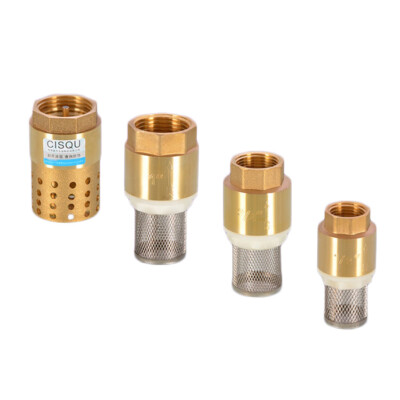 Brass1/2'' 3/4'' 1'' 11/2'' 2''Female Threaded Spring Check Valve+Strainer Foot Valve