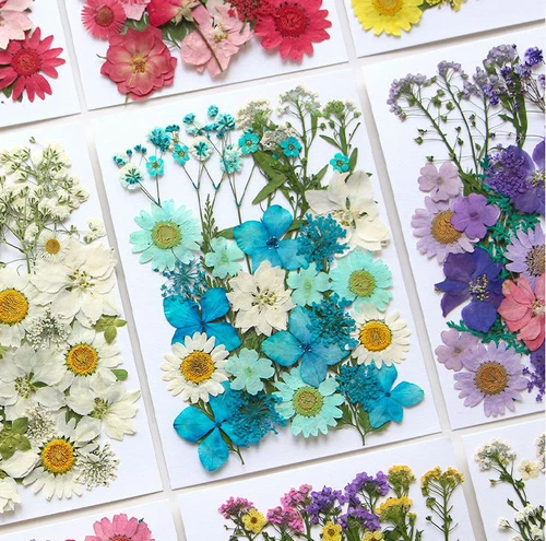 Dried Pressed Flowers Natural Epoxy Resin Candle Nail Art Scrapbooking Craft AU - Picture 25 of 210