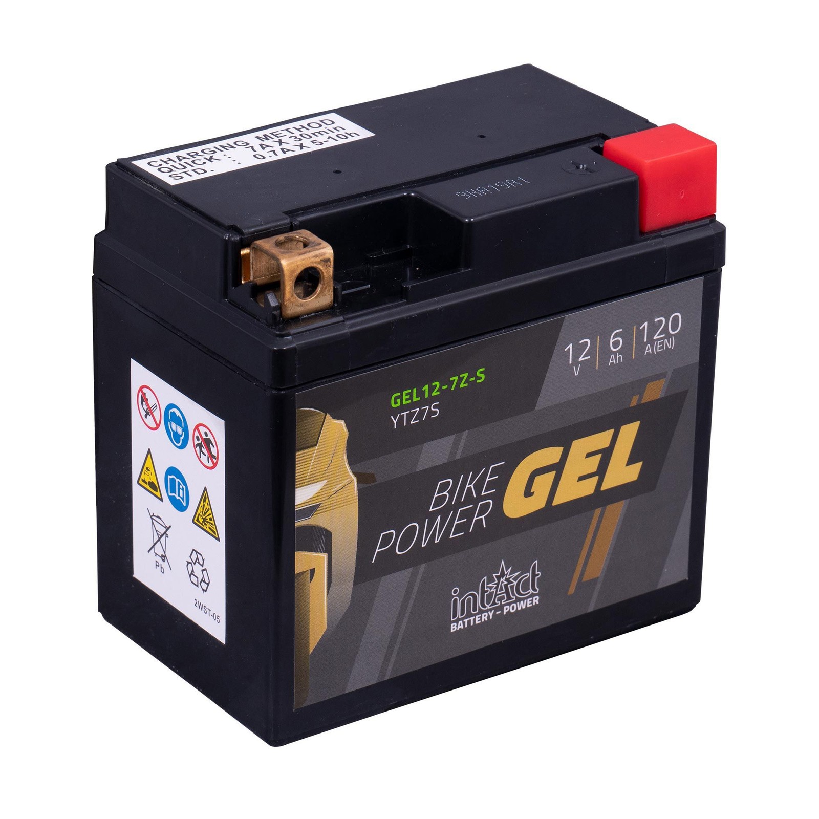 intAct Sealed Gel Battery Suitable For BMW G450 X 2011