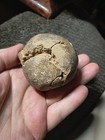Authentic West Virginia Rare Pottery Effigy Pipe Indian Arrowhead Artifact COA — photo 9