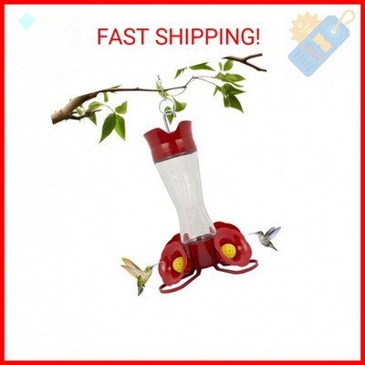 Perky-Pet 203CPBN Glass Hummingbird Feeder for Outdoors with Perches, Ant Moat, 
