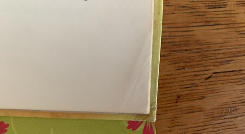 Vintage The Raggle Taggle Fellow HC Miriam Schlein 1964 Ex library First Cadmus - Picture 12 of 13
