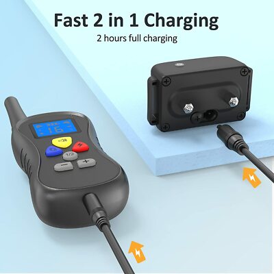 10 Migliori Collare Scossa Elettrica Cane In Italia - Foto 8