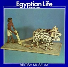 Egyptian Life